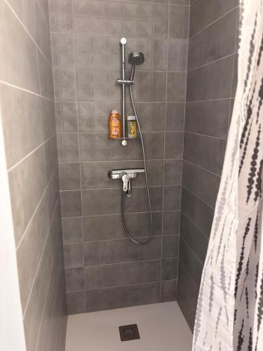 a bathroom with a shower with a shower curtain at Gîte du Courbier in Saint-Montan