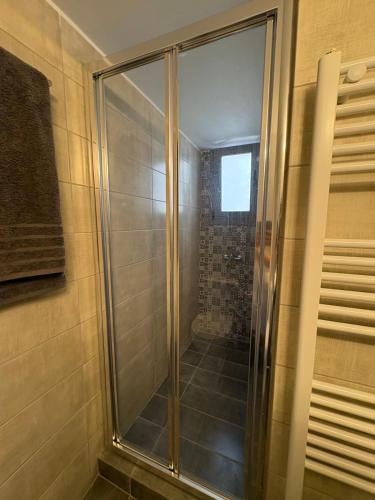 a shower with a glass door in a bathroom at Elena's House in Methana