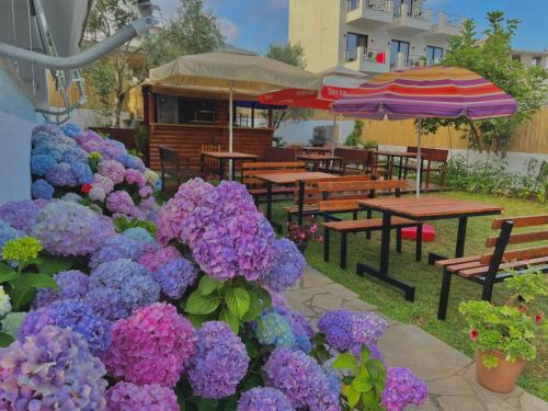 Central Garden Sofia 2- Free Parking