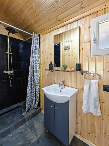 ein Badezimmer mit Waschbecken und Dusche in der Unterkunft Colnic Tiny House in Măgura
