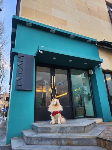 a small dog sitting in front of a building at Jeonju Hotel The Vincent in Jeonju