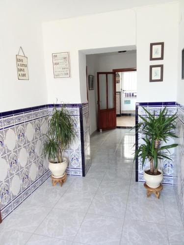 a hallway with two potted plants in a building at Casa Palomar in Alcaudete