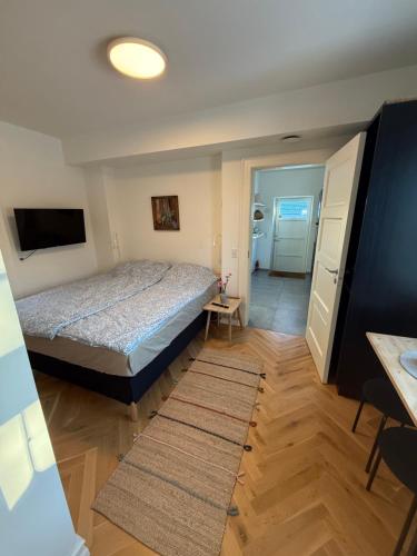 a bedroom with a bed and a television and a rug at Ny & hyggelig moderne suite in Hvidovre