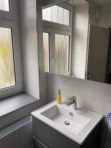 a bathroom with a sink and a mirror at Ferienwohnung am Sandwater in Ihlow