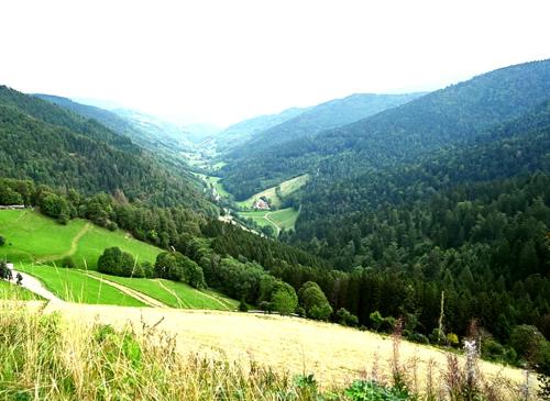 Vues montagne, forêts, dans Parc Naturel des Ballons des Vosges, hébergement classé 3 étoiles