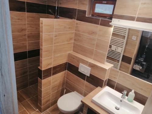 a bathroom with a toilet and a sink at Vadrózsa Nyaraló in Balatongyörök