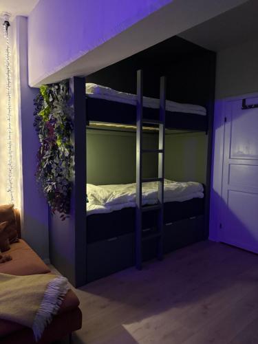 a bedroom with two bunk beds with purple lighting at Askvik Marina Lägenhet i småbåtshamn med havsutsikt in Askvik