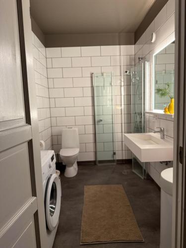 a bathroom with a toilet a sink and a mirror at Askvik Marina Lägenhet i småbåtshamn med havsutsikt in Askvik