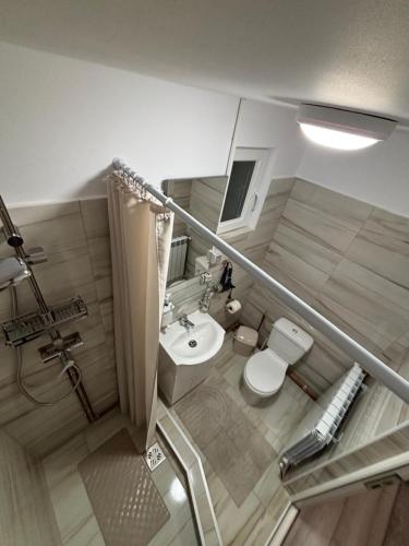 a small bathroom with a toilet and a sink at La Moieciu pe Deal in Moieciu de Jos