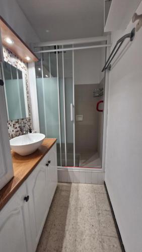 a bathroom with a sink and a glass shower at O'Paloma - appartement T2 au port - Parking - Terrasse in Saint-Cyprien-Plage