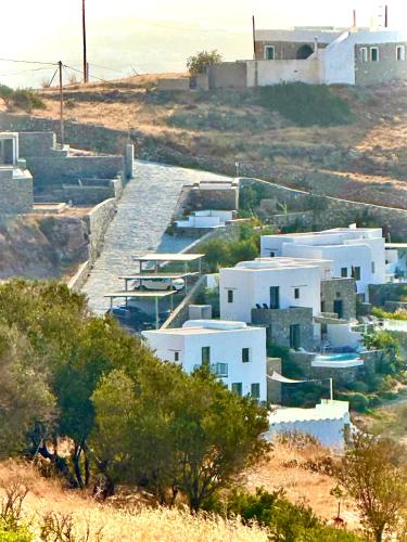 Dream Villas Paros 1 ολόκληρος χώρος με πισίνα photo 2