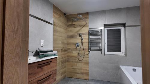a bathroom with a shower and a sink at Dom pośrodku Roztocza in Oseredek