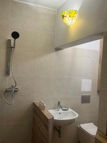 a bathroom with a sink and a toilet at Срібний ключ in Mukacheve
