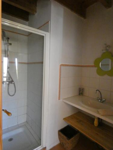 a bathroom with a shower and a sink at Domaine de La Maison d'Aum in Bourrou