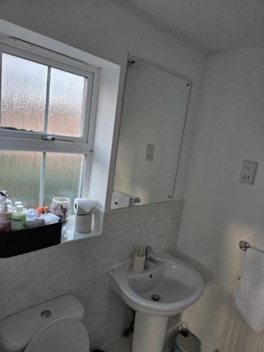 a bathroom with a sink and a toilet and a mirror at The Flexible Lodge-Ashford in Kingsnorth