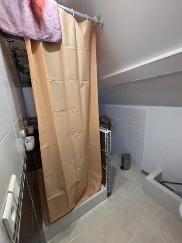 a bathroom with a shower curtain and a toilet at Appartement Numéro 3, centre chateau-renault in Château-Renault
