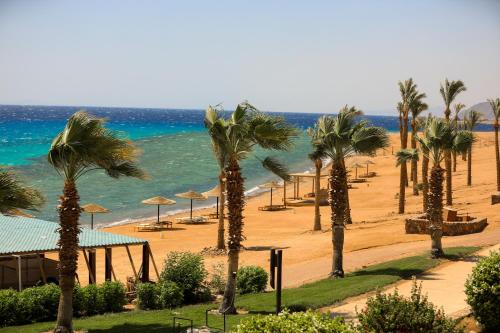 a beach with palm trees and the ocean at Retac Qunay Dahab Resort & SPA in Dahab