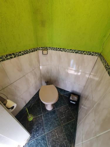 a bathroom with a toilet and a green wall at Céu Azul Casa de Praia in São Sebastião