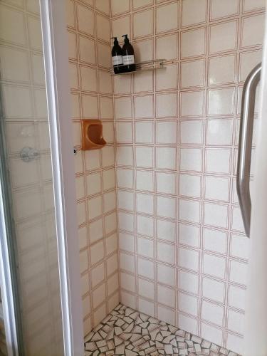 a bathroom with a shower with two bottles on a shelf at Mimosa House Double Room in Brackenfell
