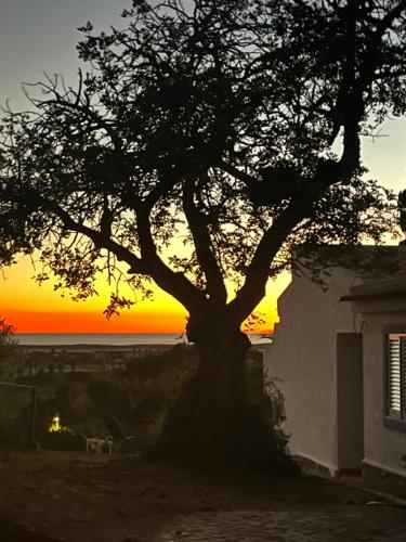Casa Estrelita, Quinta da Felicidade, Praia dos Salgados