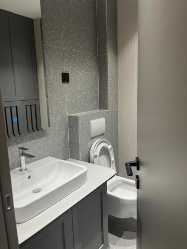 a bathroom with a sink and a toilet at Apartman hotel 507 in Jahorina