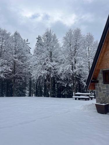 Bild i bildgalleri på Mala Vila Sofija i Mojkovac