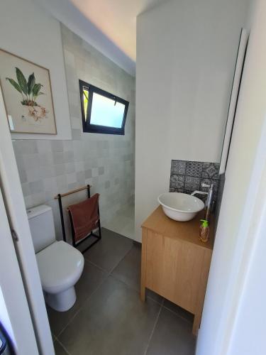 a bathroom with a toilet and a sink at Le Studio Joli in La Possession