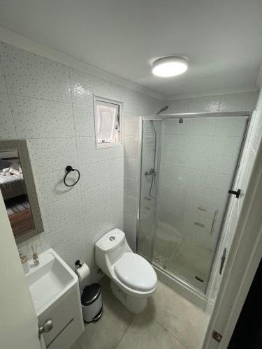 a bathroom with a shower and a toilet and a sink at Tayka Suite in La Serena