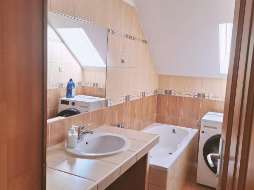 a bathroom with a sink and a washing machine at Vila Hafira in Zuberec
