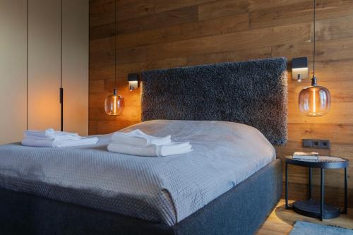 KitzSki Apartment ski-in ski-out accommodation photo 2