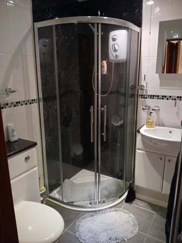 a shower in a bathroom with a toilet and a sink at Self contained 1 bedroomed garden flat in Abersychan