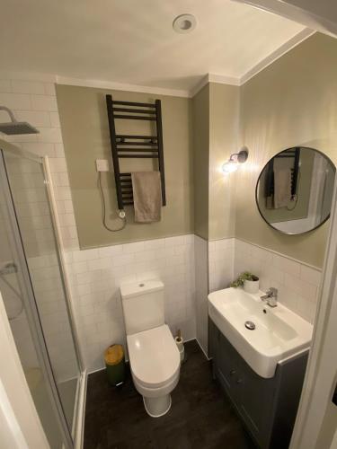 a bathroom with a toilet and a sink and a mirror at St Magnus Retreat in Lerwick