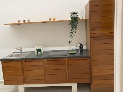 a kitchen with a sink and a counter at Serena a due passi dal mare in Bellaria-Igea Marina
