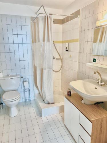 a bathroom with a toilet and a sink and a shower at Logis Hôtel Restaurant Le Palous in Baraqueville