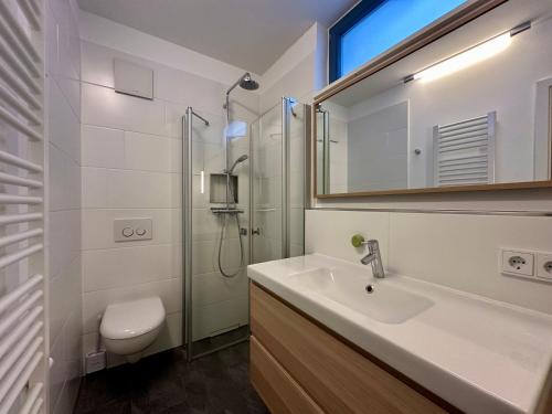 a bathroom with a sink and a shower and a toilet at Ein Haus am Berg in Marquartstein