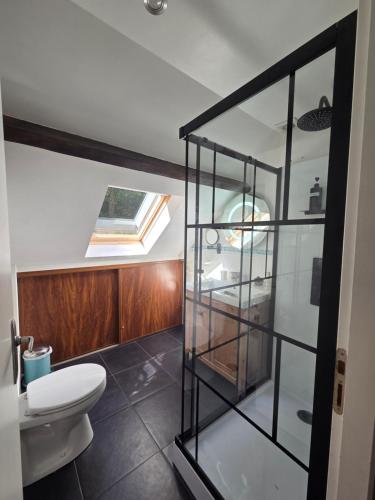 a bathroom with a toilet and a window at Les Ruisseaux in Cauterets