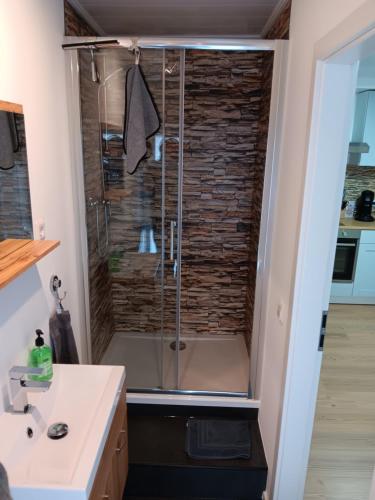 a shower in a bathroom with a sink at Anderer Apartment 2 in Liedolsheim