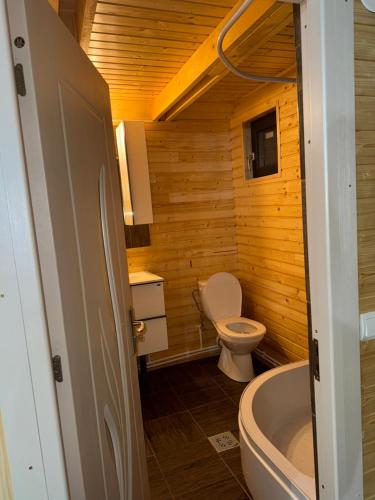 a small bathroom with a toilet and a tub at Roua Munților in Dârlești