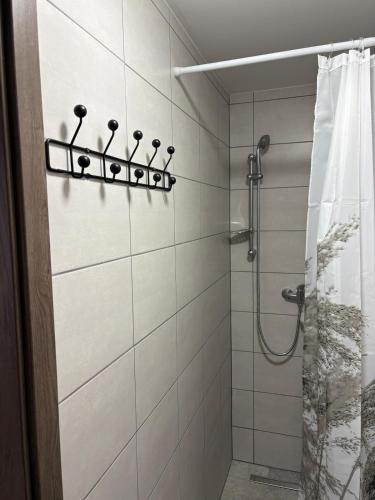 a bathroom with a shower with a shower curtain at Apartman pri kostole in Krásno nad Kysucou