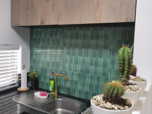 a kitchen with a sink and two cactuses at Anyomi Zen in Gqeberha