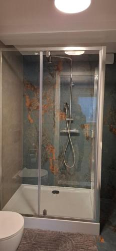 a glass shower in a bathroom with a toilet at Noclegi pod Brzegiem in Zawoja