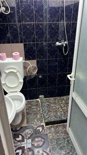 a bathroom with a toilet and a shower at Hotel Te Bakja in Tushemisht