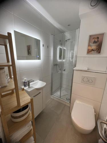 a bathroom with a shower and a toilet and a sink at Bella Vista Studio-Appartement in Bad Rothenfelde