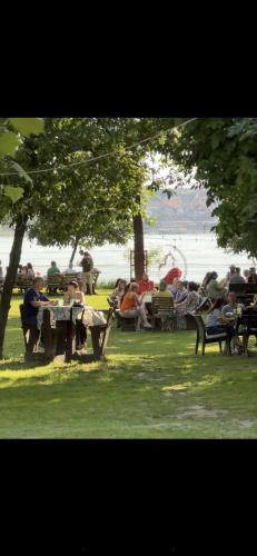 a group of people sitting at a picnic table in a park at Cross Over Zemun in Belgrade