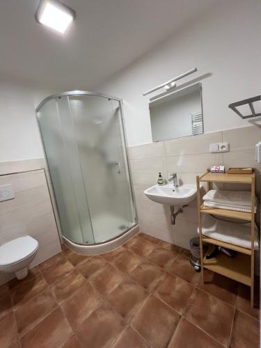 a bathroom with a shower and a toilet and a sink at Litovelské apartmány in Litovel