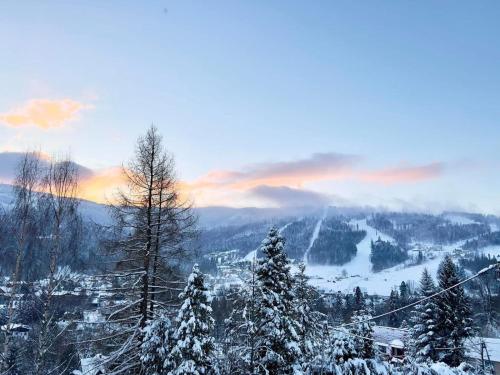 a view of a snow covered mountain with trees at Dom Na Widoku w górach Szczyrk in Szczyrk