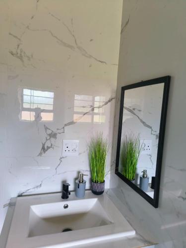 a bathroom sink with a mirror and two potted plants at Masithandane lodge in Richards Bay