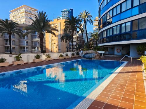 Amaryllis SeaYou Benidorm