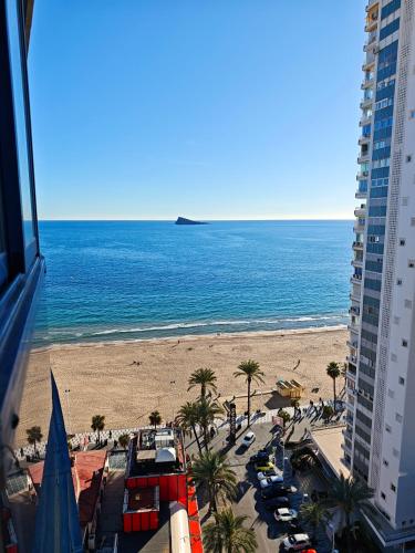 Amaryllis SeaYou Benidorm