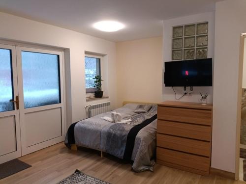 a bedroom with a bed and a flat screen tv at Apartmán Eliška v Karolince in Karolinka